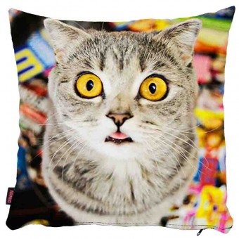 Kedili Yastık Kılıfı-49